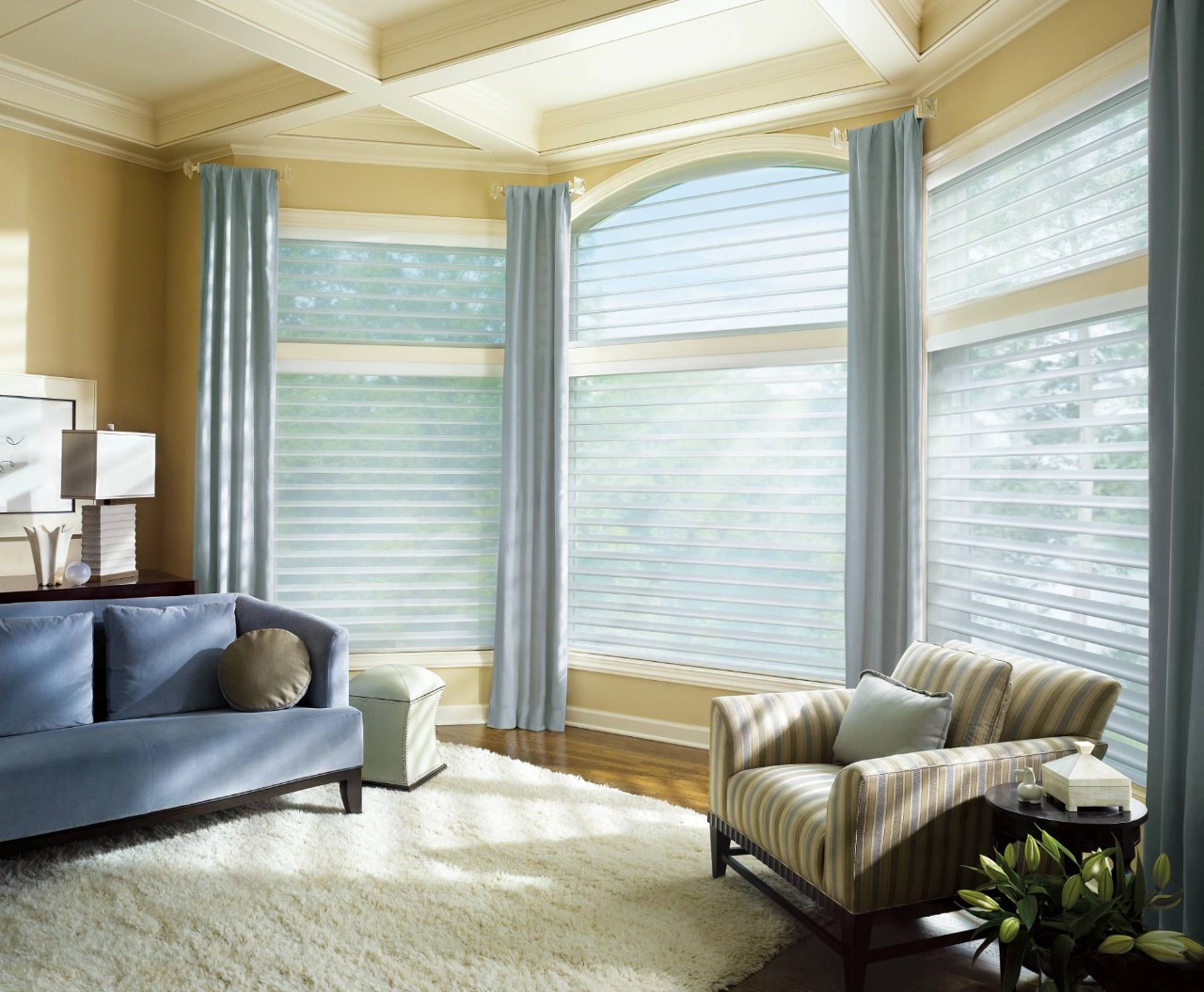 Hunter Douglas Silhouette® Sheer Shades near Ann Arbor, Michigan (MI)